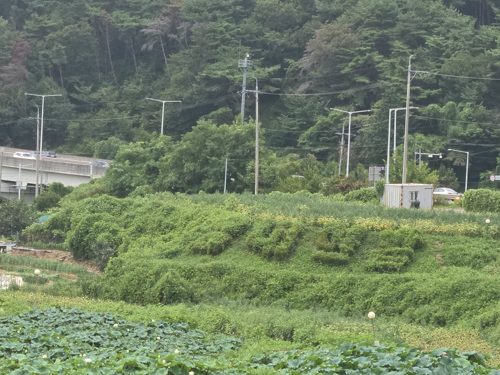 곰내연밭식당 대표 사진