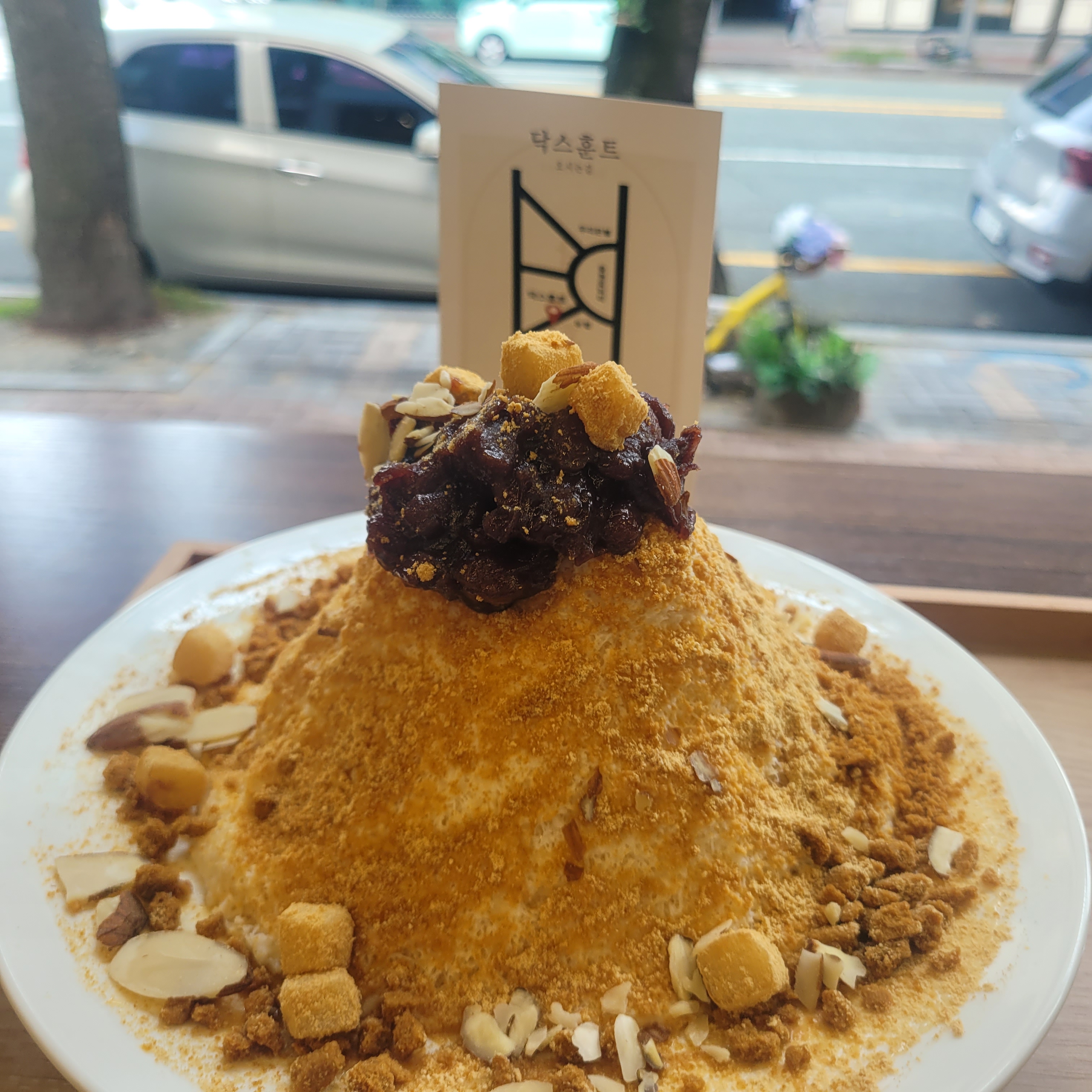 닥스훈트