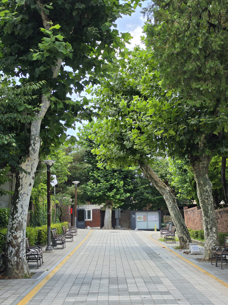 소설 사진 8