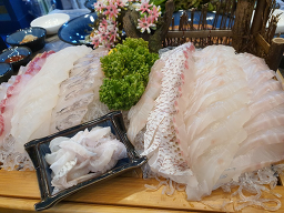 물고기한마리 사진 6