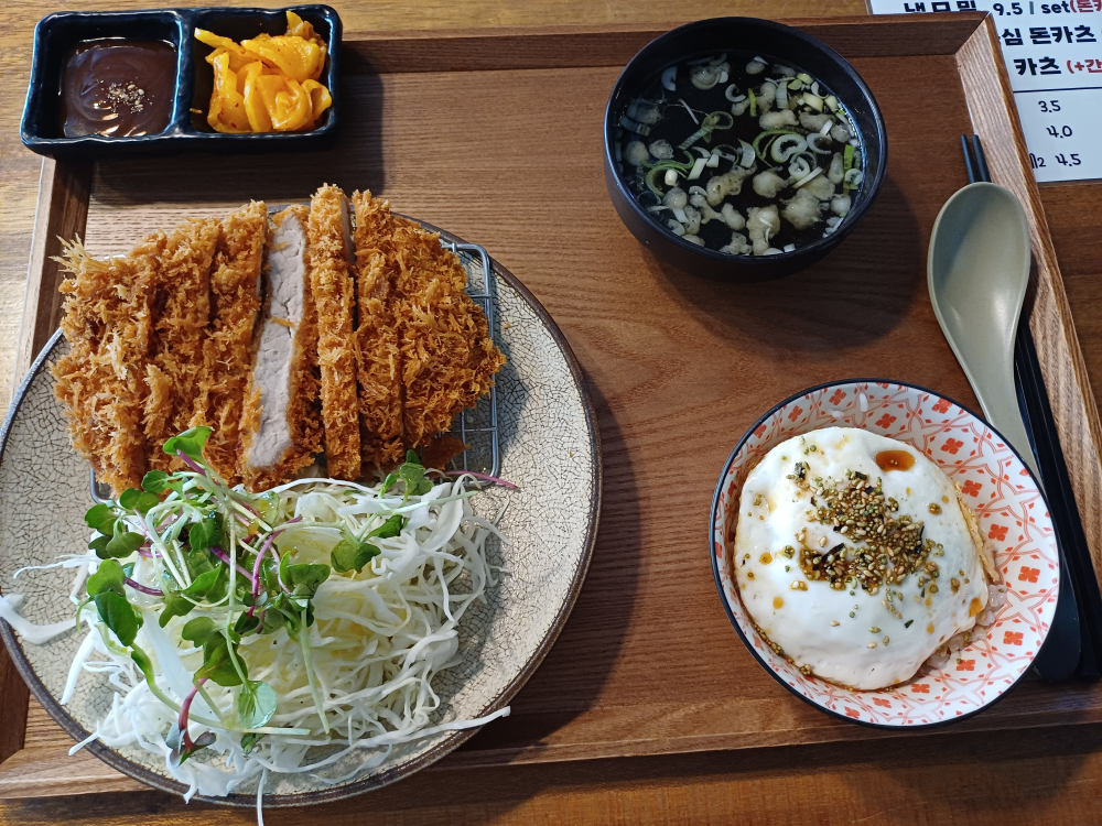 코야 사진 2
