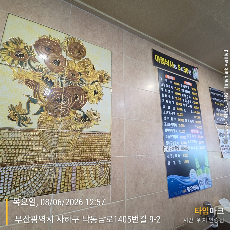 야우 대표 사진