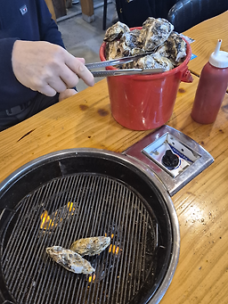 청솔 사진 3