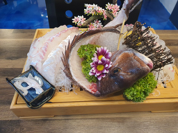 물고기한마리 사진 5