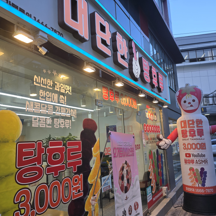 대단한탕후루&대단한 요거트 부산대점 대표 사진