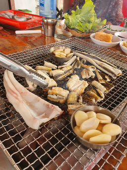 동해범바위골장어 사진 2