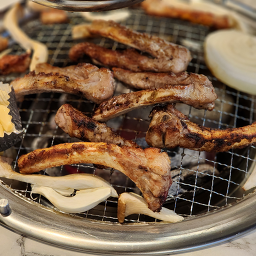 강도야지 사진 4