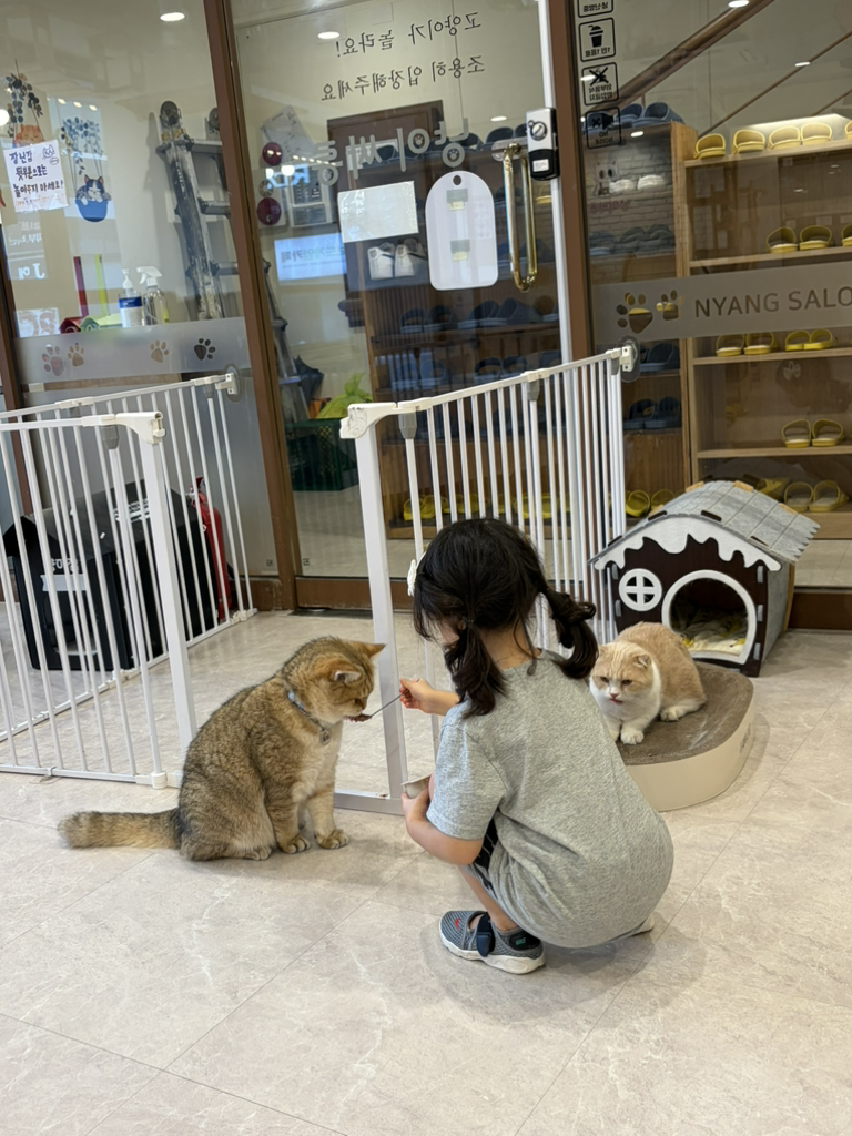 냥이싸롱