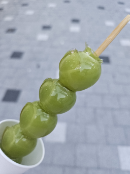 돌고래탕후루 대표 사진