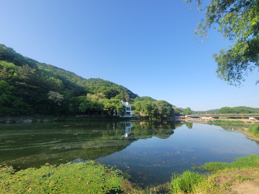 카페침산 사진 8