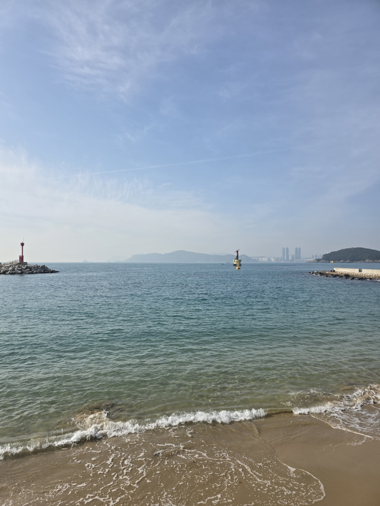박옥희할매집원조복국 사진 2