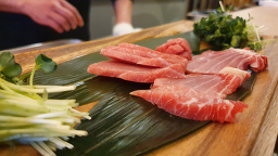 하나참치 사진 5