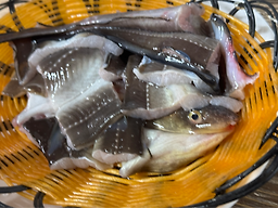 삼천포 숯불장어구이 대표 사진