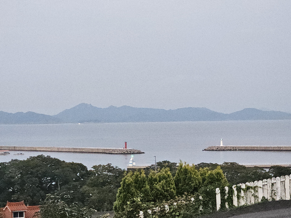 바다한입 사진 2