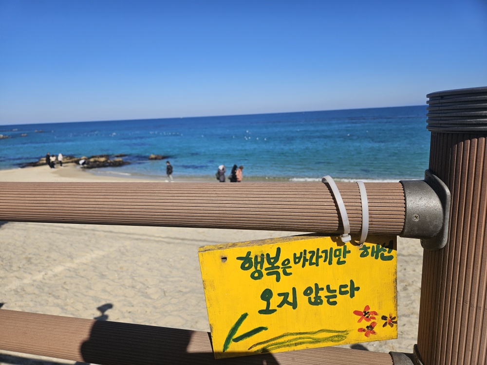 치아바타 영진해수욕장점 사진 3