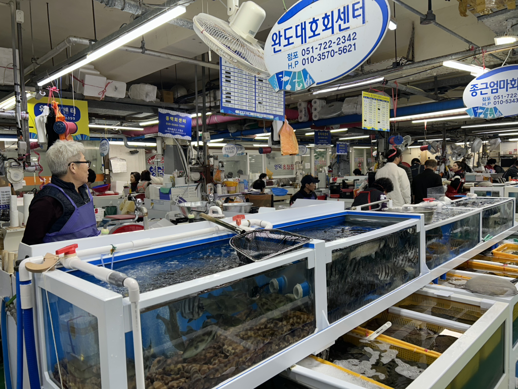 완도대호회센터 대표 사진