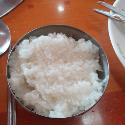 점박이네 사진 3