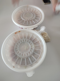 통영물회횟집 사진 2