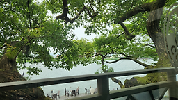탐앤탐스 대구수성못호반점 사진 2