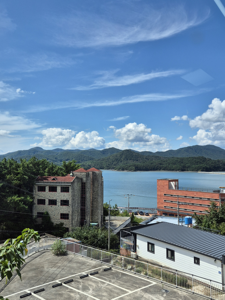 일품새우 사진 4
