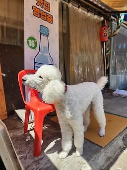 충청도횟집 사진 4