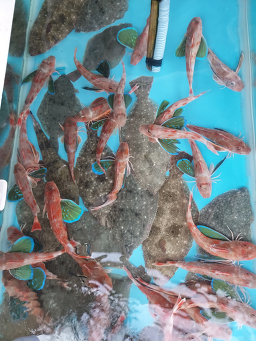 신광회식당 사진 6