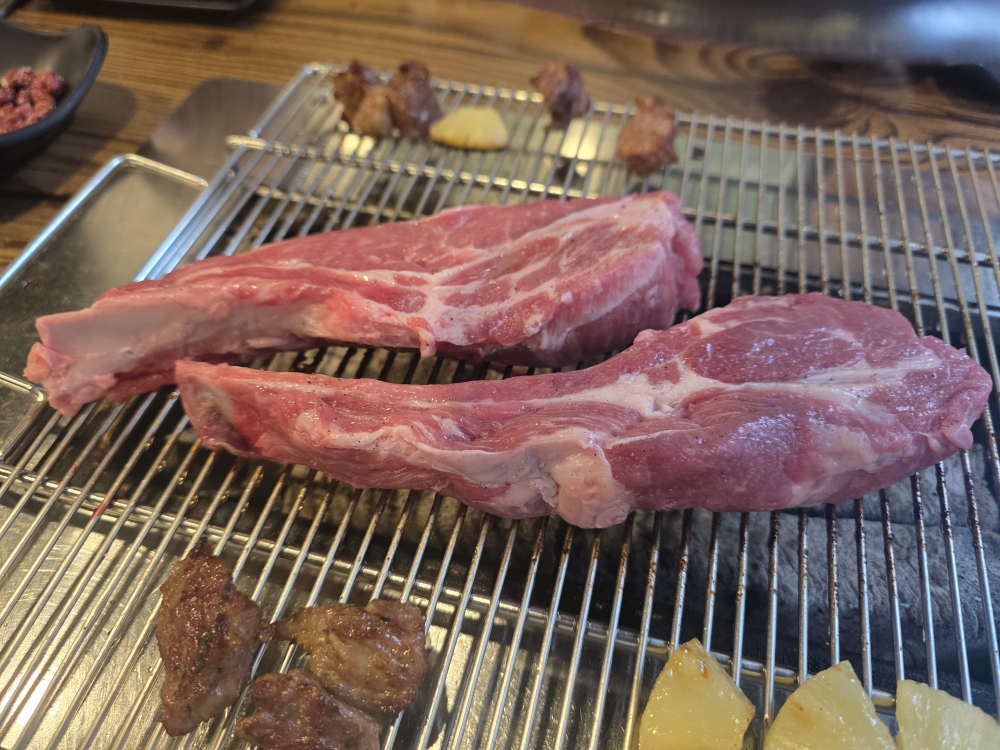 양이야기 대표 사진