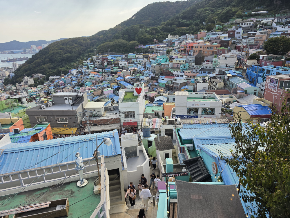 아리랑김밥 대표 사진
