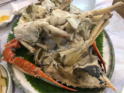 미락 사진 8