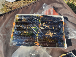 꼬마김밥여행 사진 3