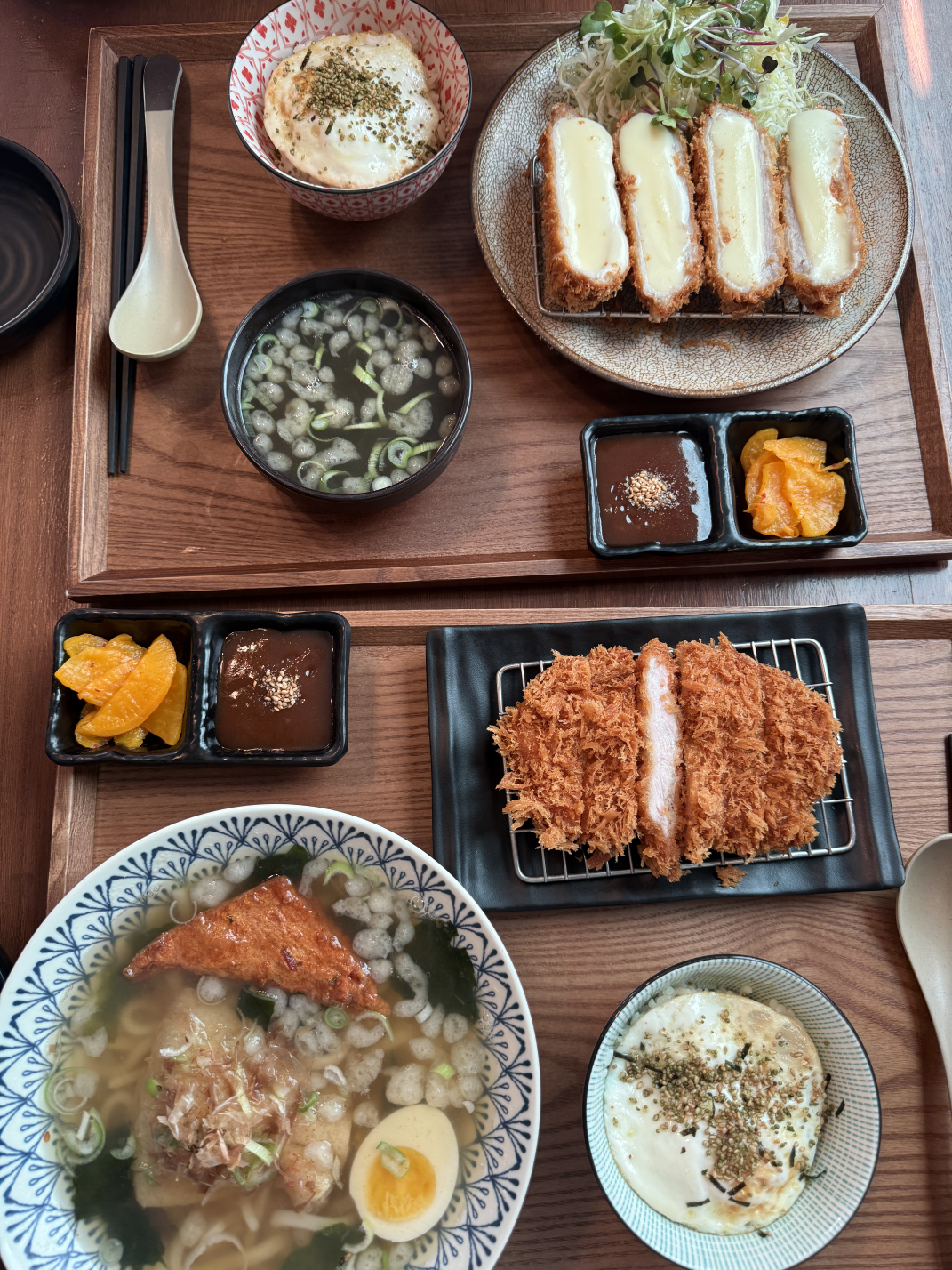 코야 사진 4