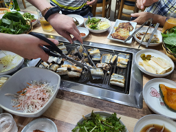 화산바다장어 대표 사진
