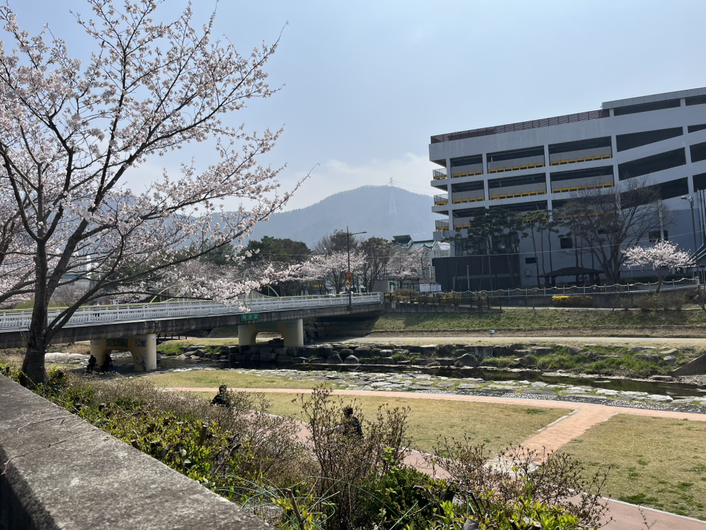 장인촌국수 사진 2