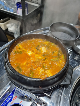 서민갈매기 사진 3