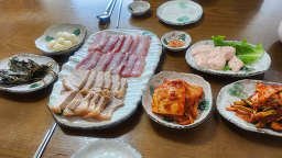 강변홍어 사진 6