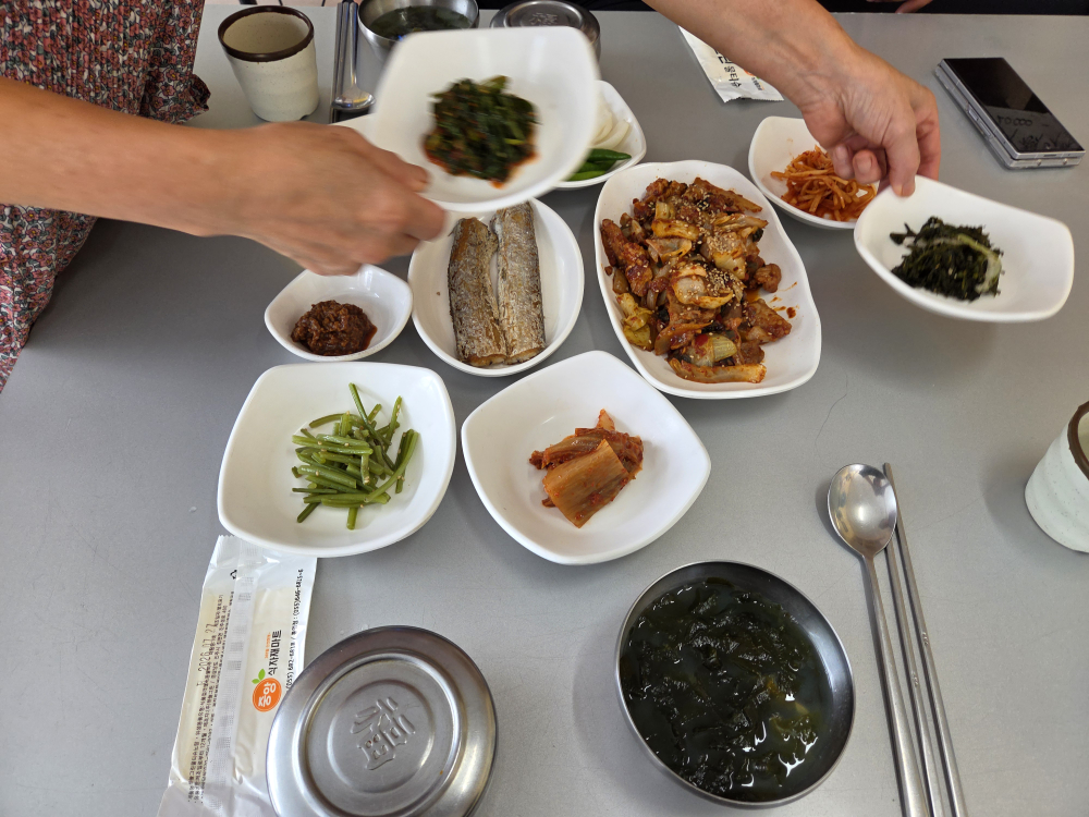 산청흑돼지 사진 2
