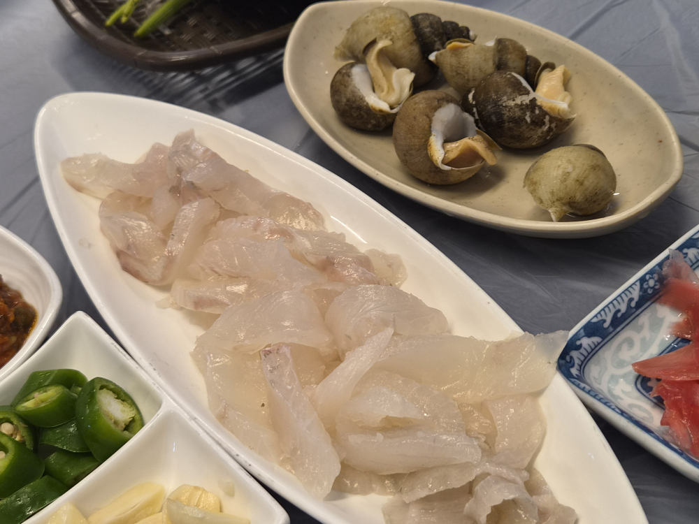 독도야 대표 사진