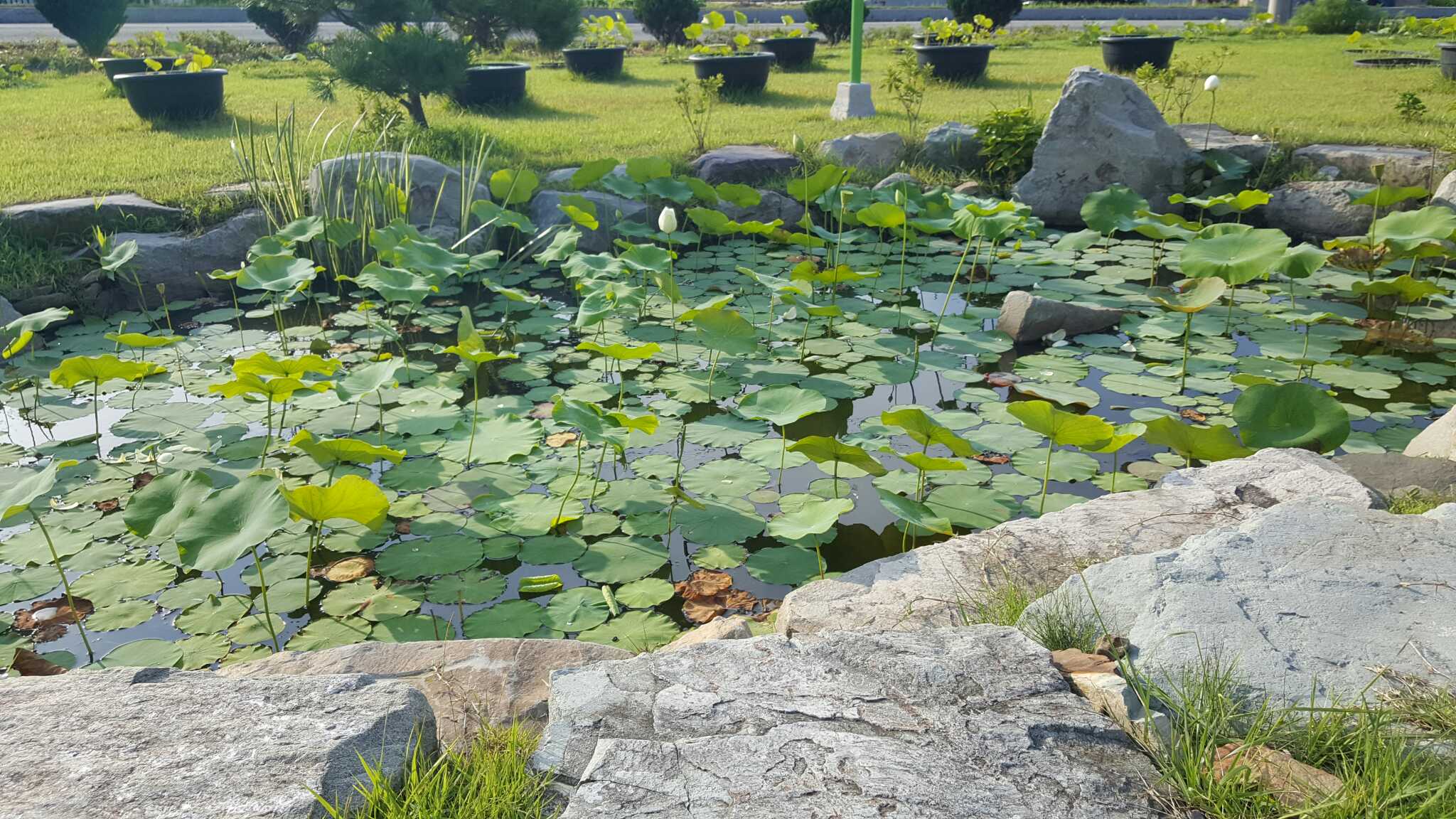 연담 사진 6