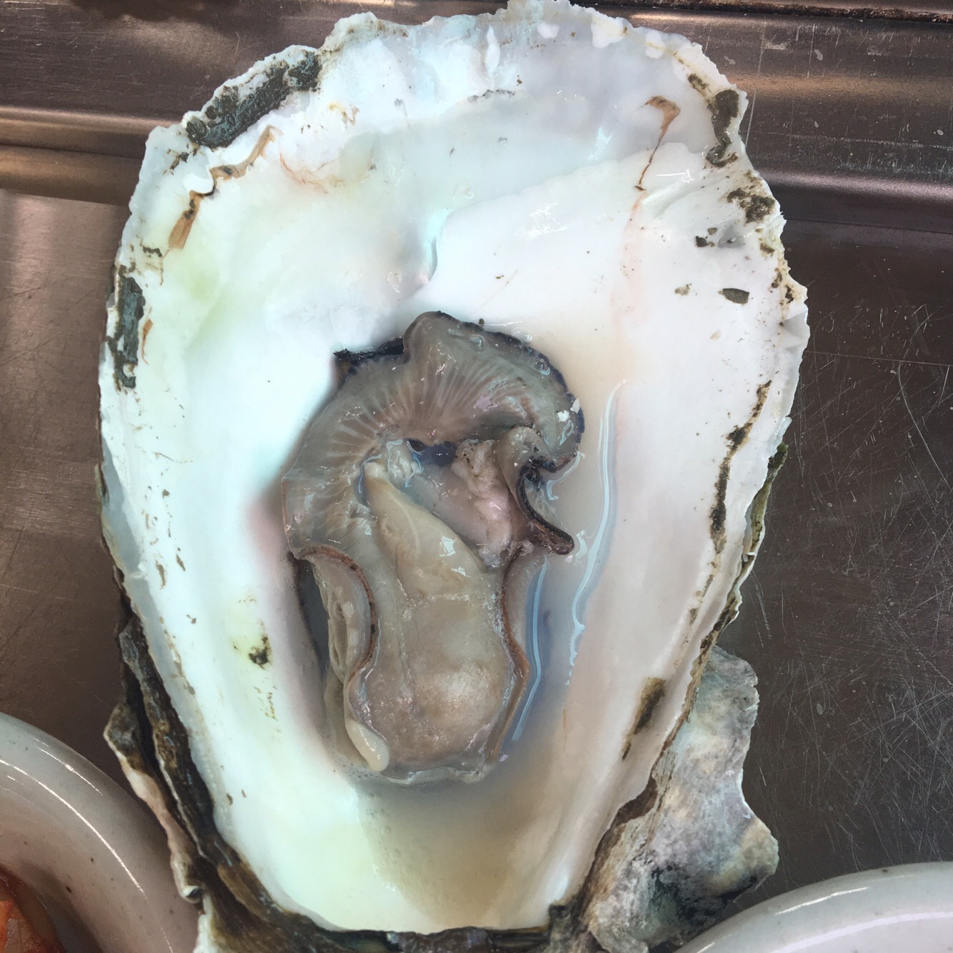 벚굴식당 사진 7
