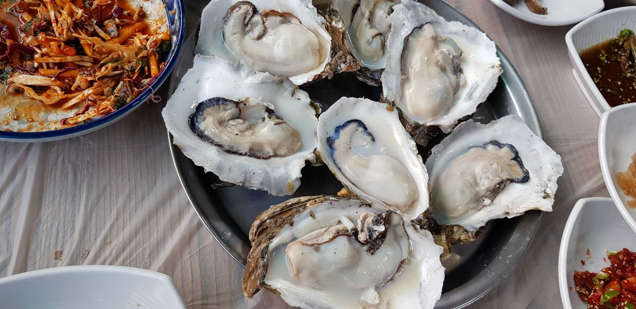 하옹 사진 2