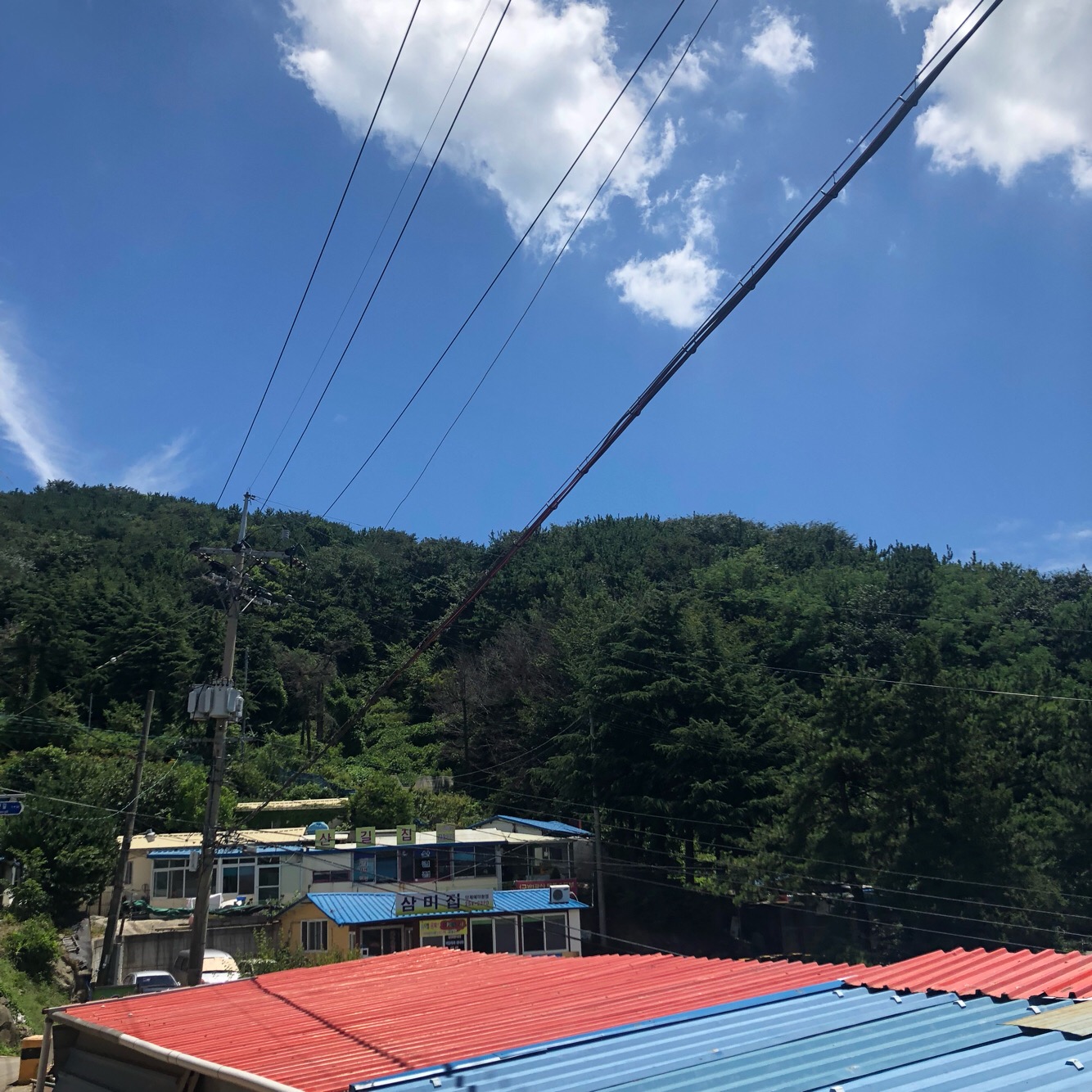 준호네집 대표 사진