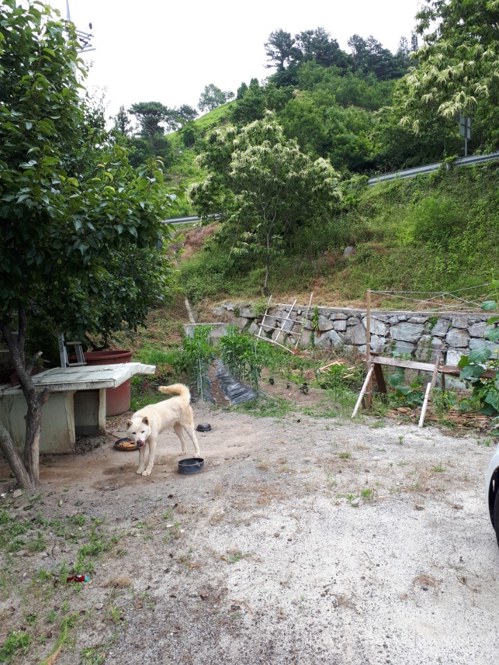 오광정 사진 7