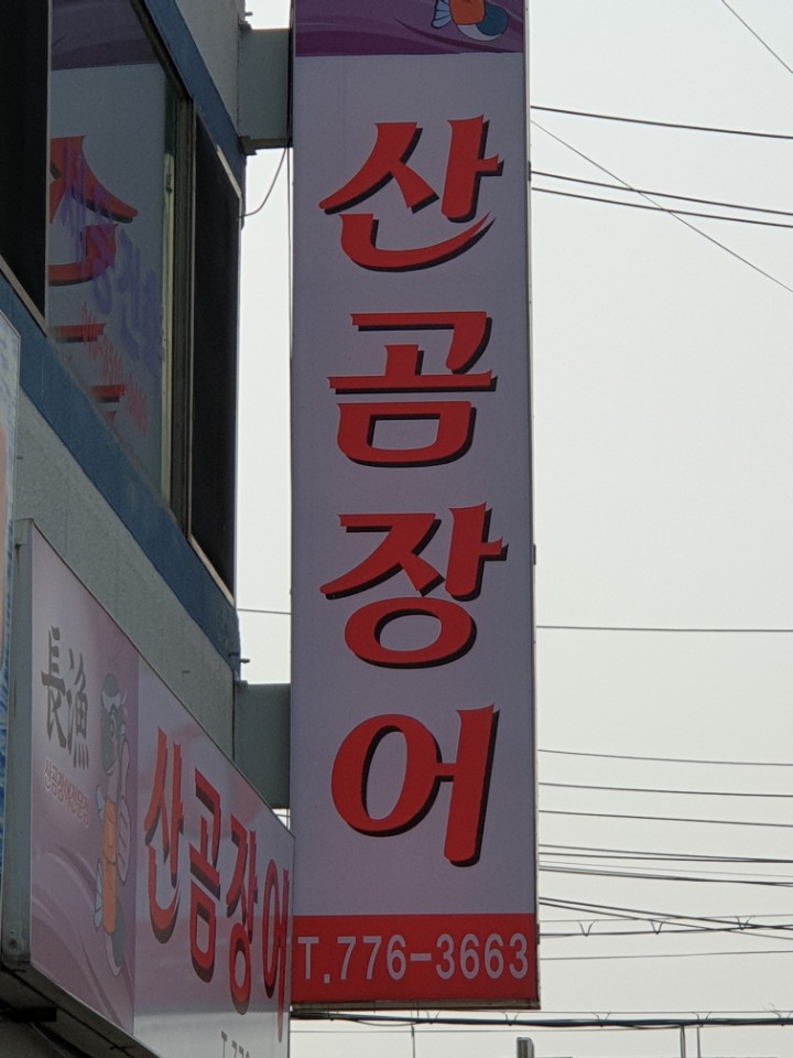 산곰장어 사진 6