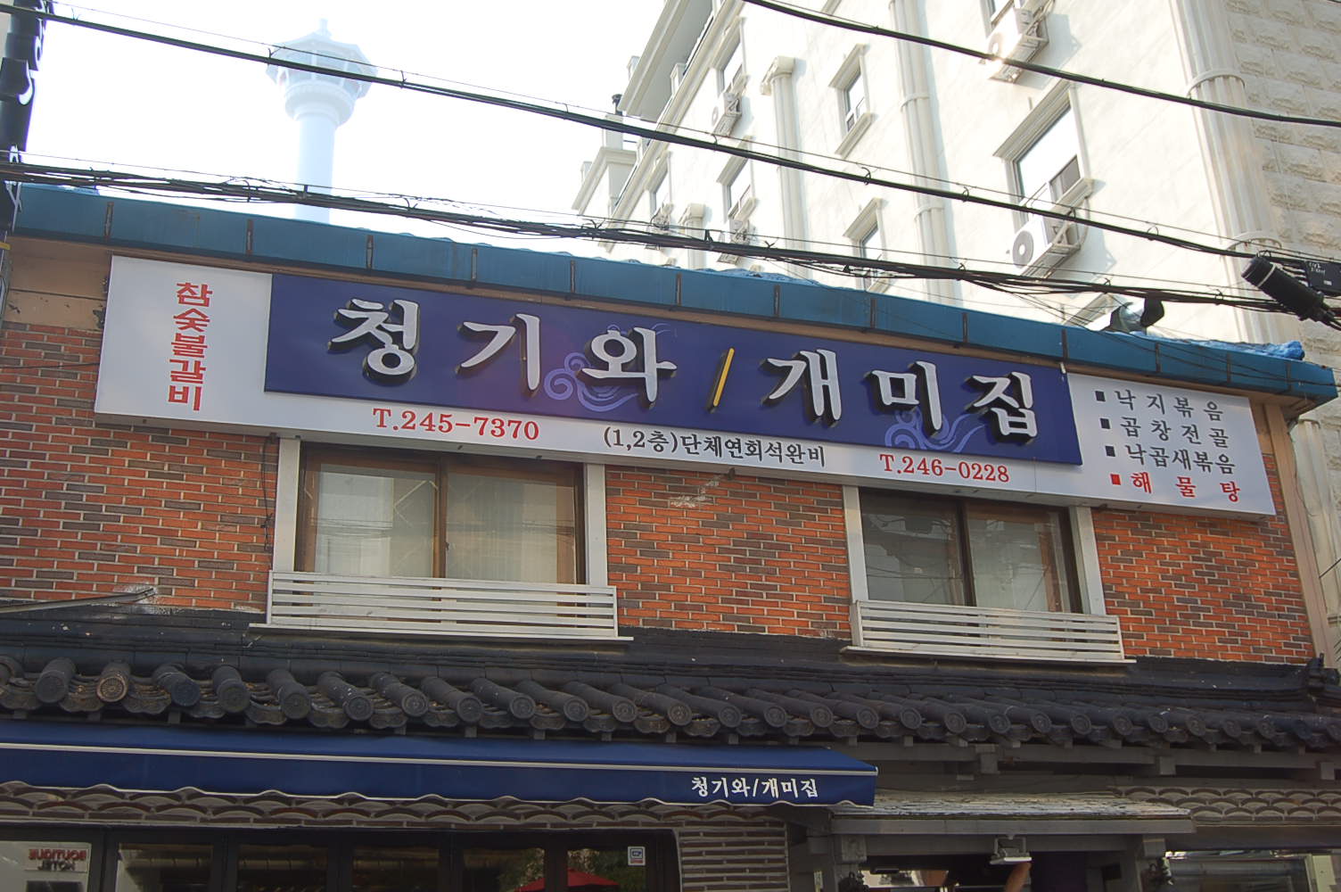 청기와 사진 5