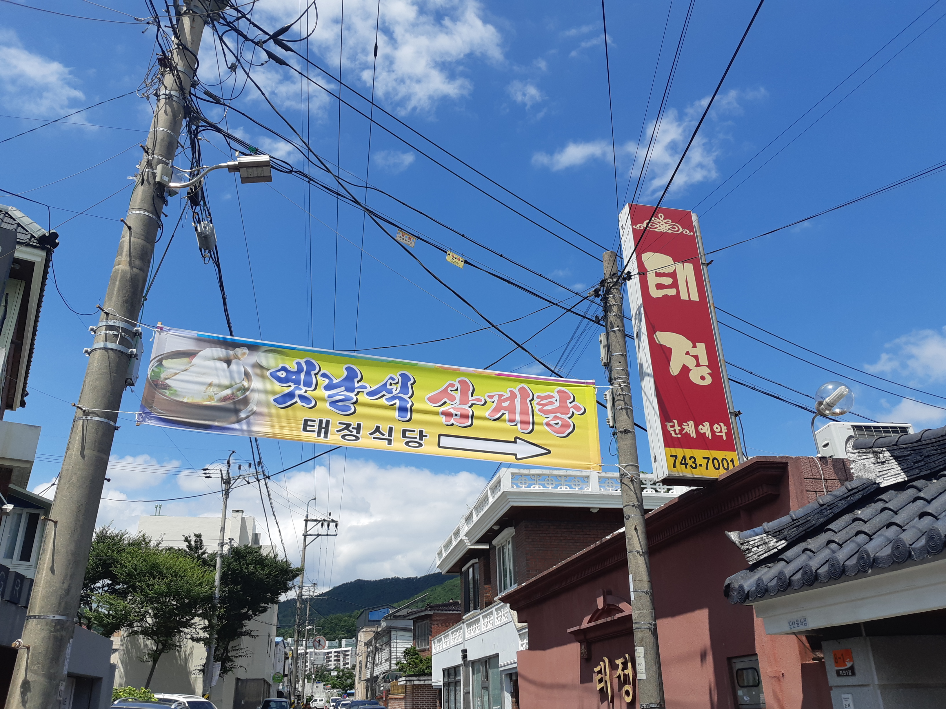 태정 사진 5