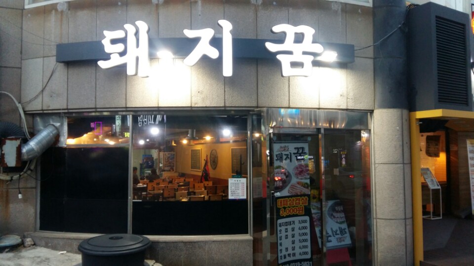 돼지꿈 사진 2