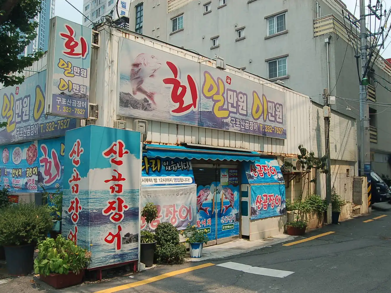 구포산곰장어회 사진 3