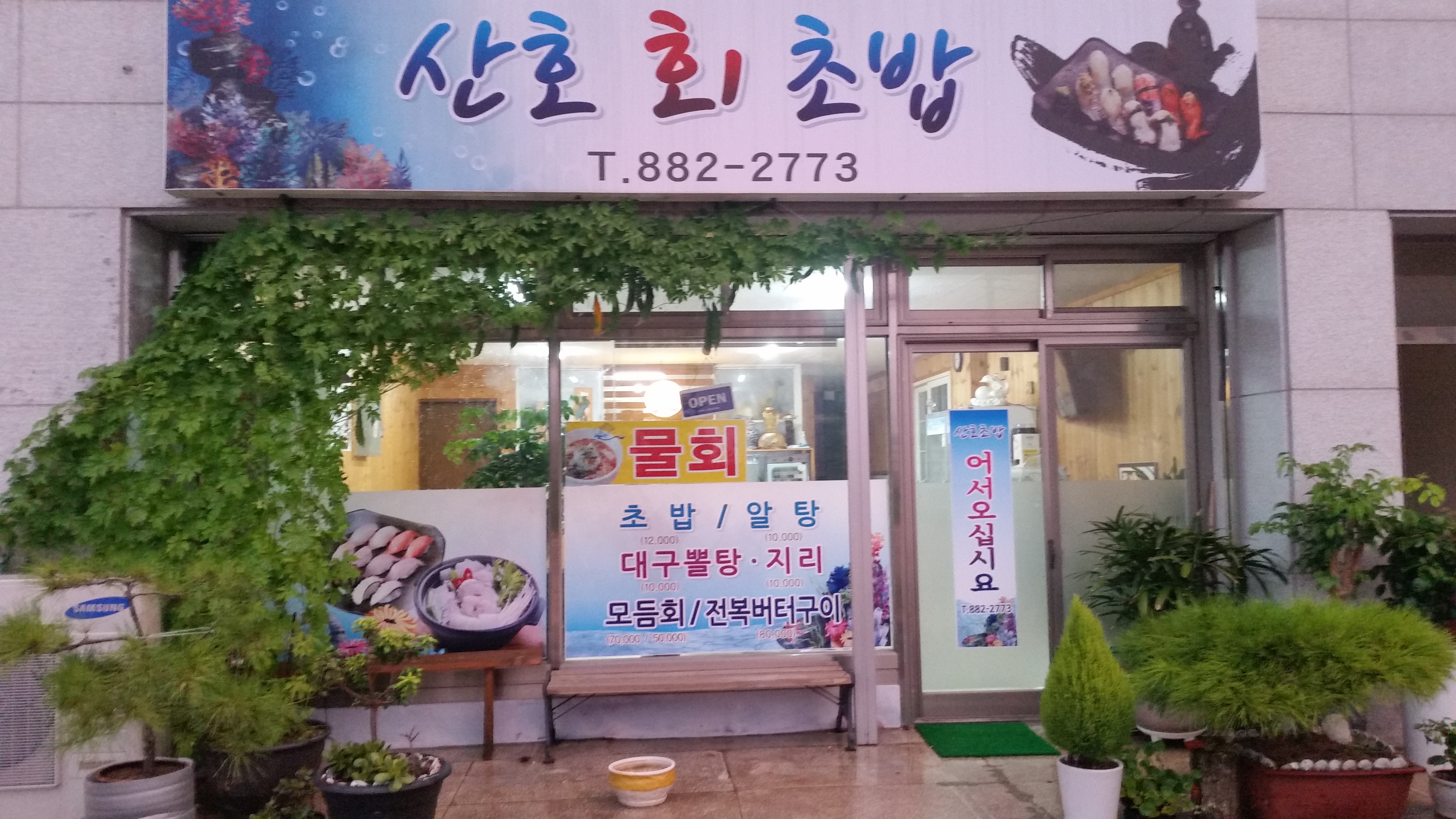 산호 회 초밥 사진 5