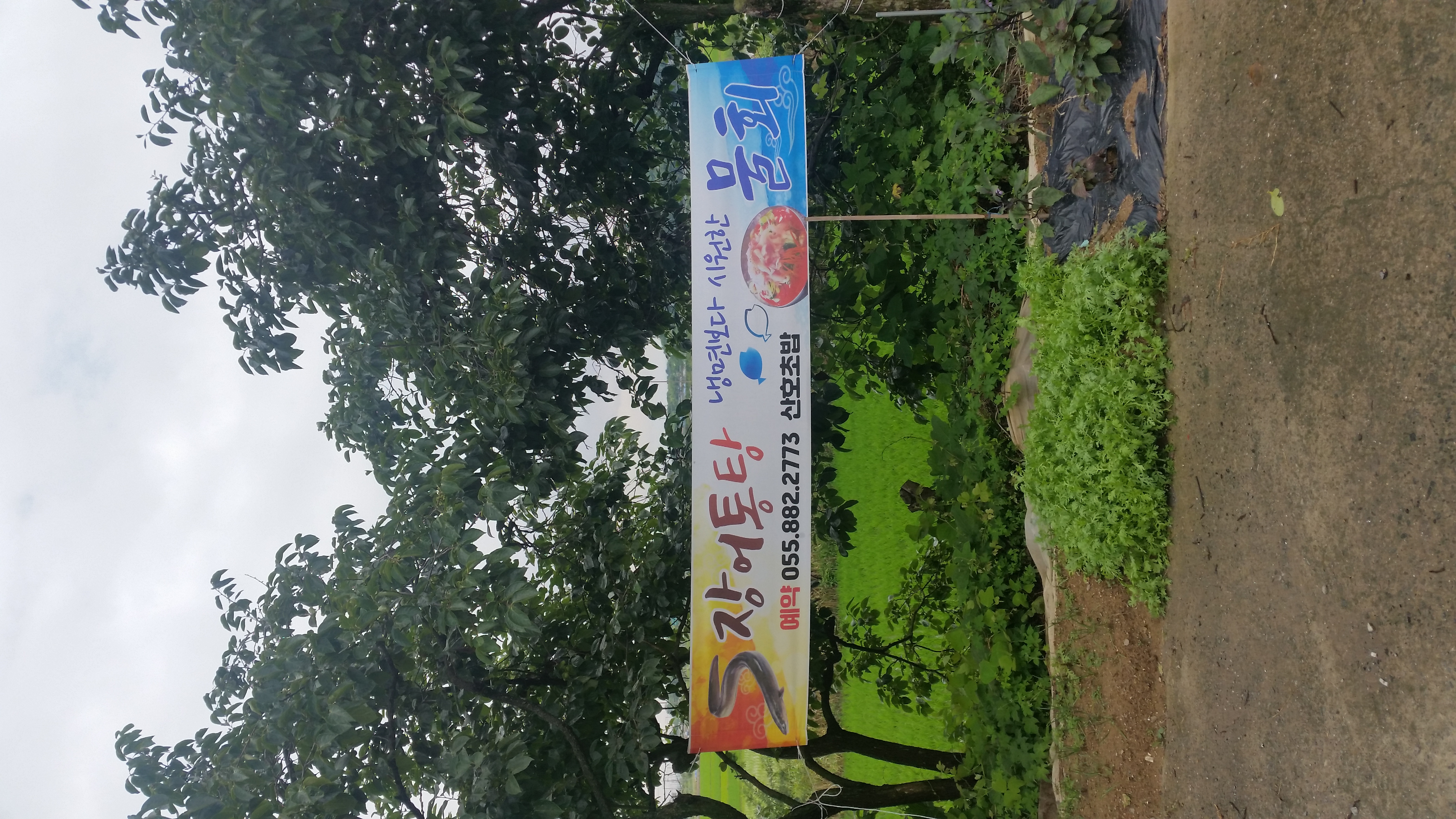 산호 회 초밥 사진 4