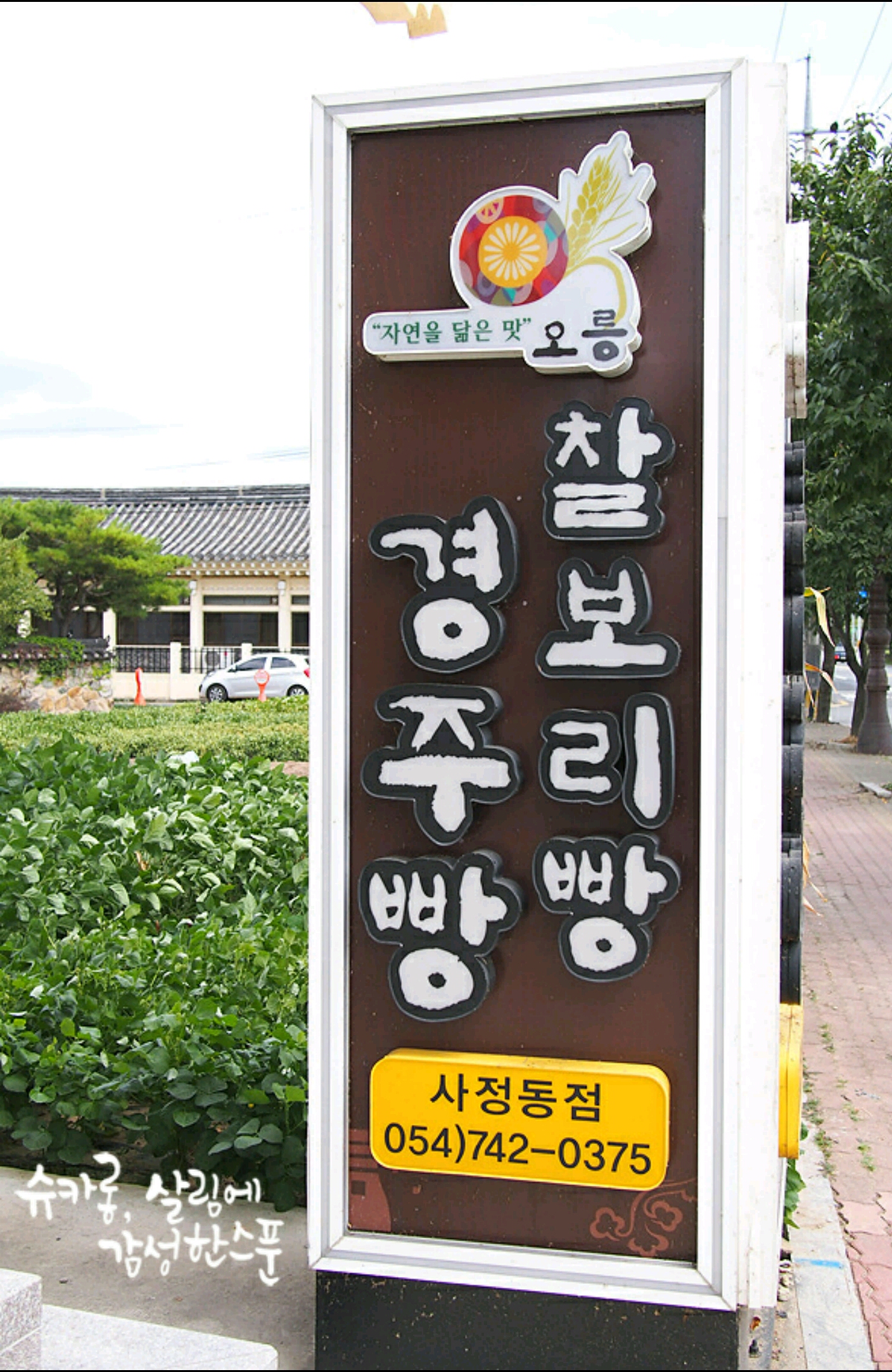 오릉경주빵찰보리빵 본점 사진 3